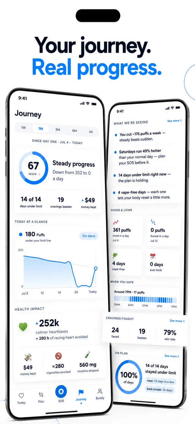 Aeris Journey analytics with a progress score, days under limit, cravings beaten, and health-impact stats